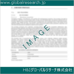 グローバルリサーチ調査資料のイメージ